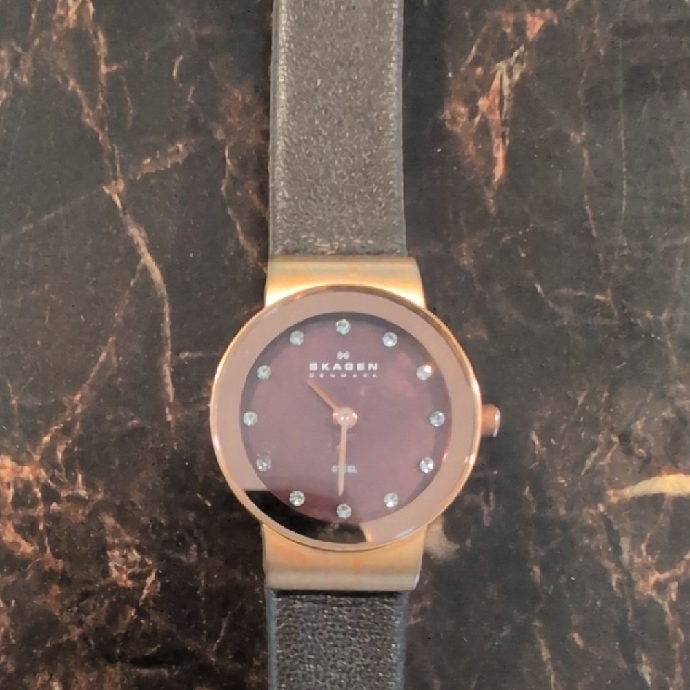 Skagen Women's Brown and Gold Smartwatch
